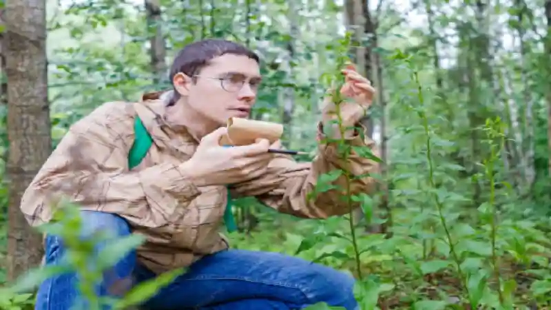 UndergrowthGames Contributor: Your Complete Guide